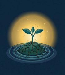 Resilience Therapy Sprouting Seed Icon